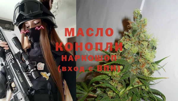 амф Надым