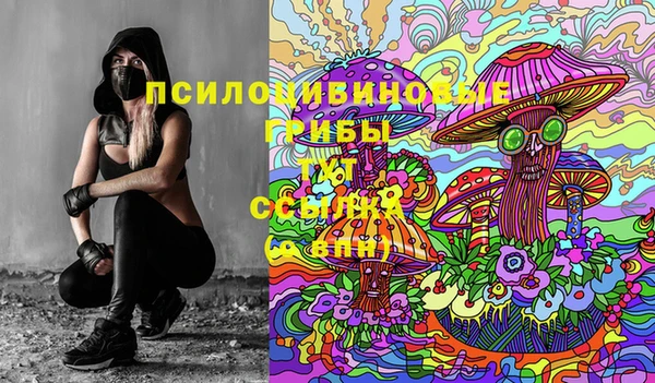 стаф Навашино