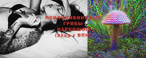амф Надым